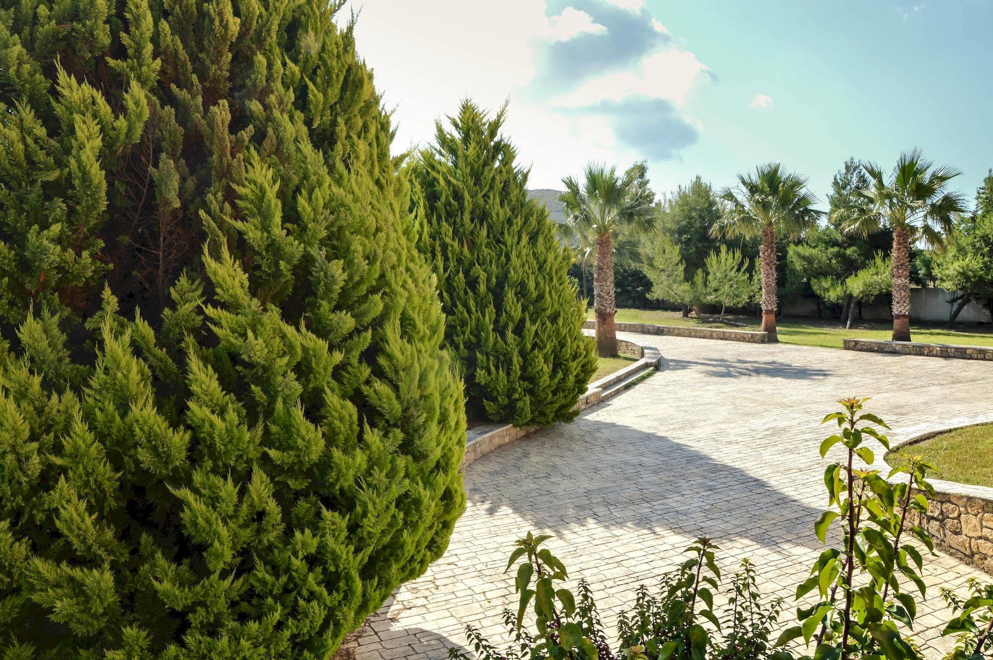 Leone Luxury Villas Kalamákion Extérieur photo