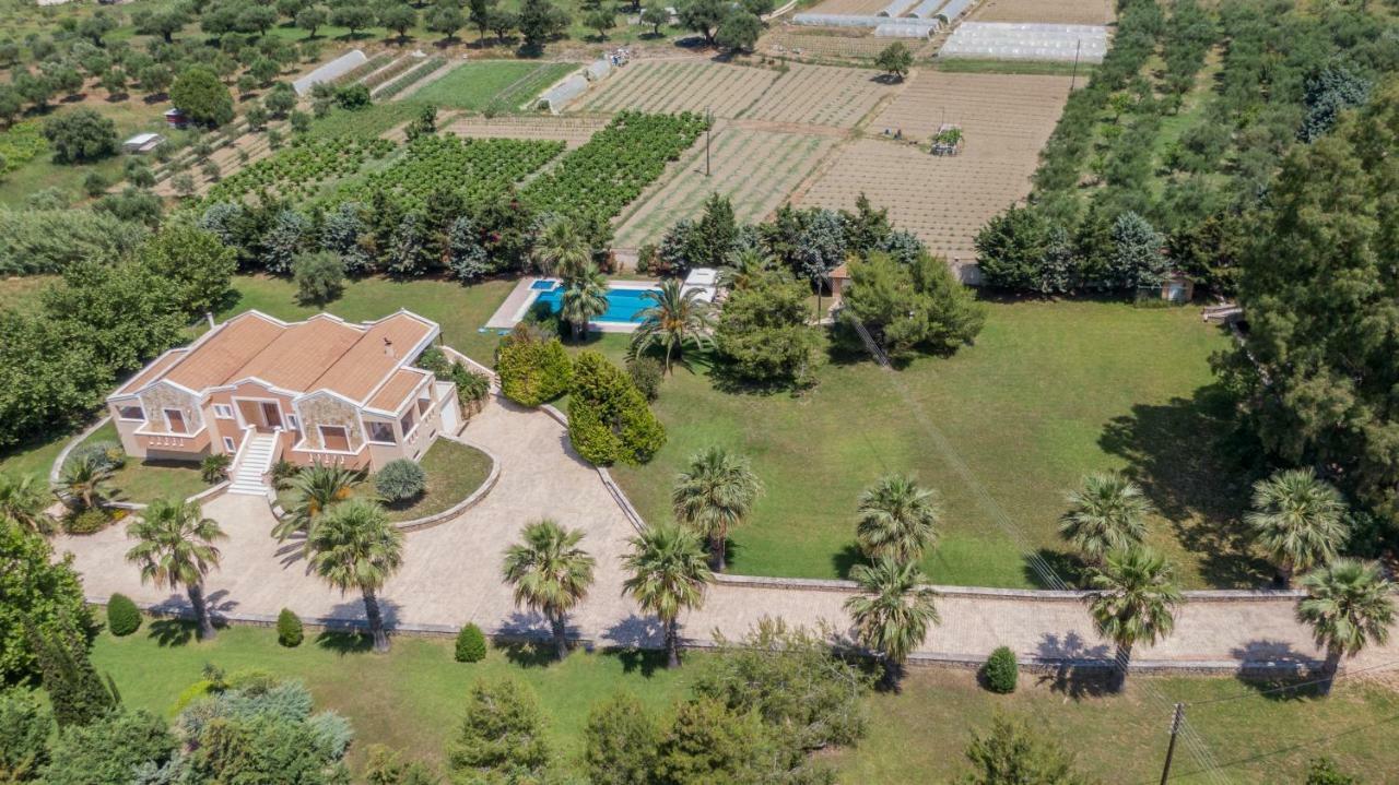 Leone Luxury Villas Kalamákion Extérieur photo